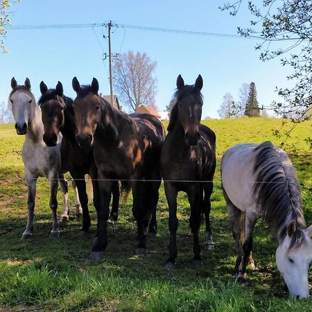Eha Farmstay Рыуге Экстерьер фото